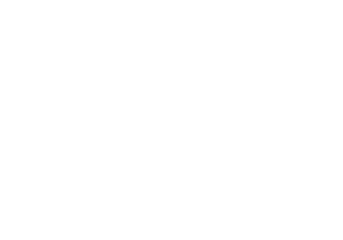 mt.